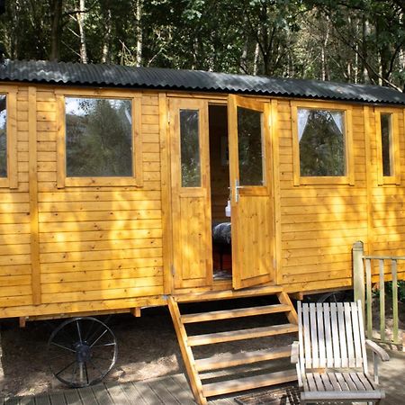Pike'S Cabin In The Woods Hebden Bridge Exterior photo